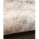 Machine Washable Area Rug